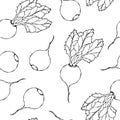 Seamless Background of Ripe Beets. Endless Pattern of Beetroot with Top Leaves. Fresh Vegetable Salad. Hand Drawn Vector Illustrat Royalty Free Stock Photo