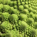 Seamless background from Roman cauliflower