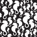 Seamless background with sea-horses. Vector illustration Royalty Free Stock Photo