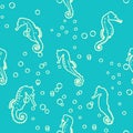 Seamless background with sea-horses. Vector illustration. seamless pattern with seahorses Royalty Free Stock Photo