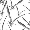 Pattern of the seagulls flying away Royalty Free Stock Photo