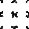 Seamless background from silhouettes drawn funny black poodle