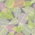 Seamless background with skeletons of leaves