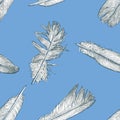 Seamless background of sketches of birds feathers