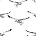 Seamless background of sketches of flying seagulls