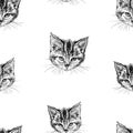 Seamless background of sketches of head of domestic kitten