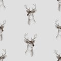 Seamless background of sketches head young wild deer