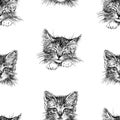 Seamless background of sketches of kittens faces