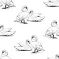 Seamless background of sketches pairs white swans on lake shore