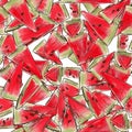 Seamless background of sketches red juicy pieces sliced ripe watermelon