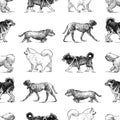 Seamless background of sketches various walking dogs