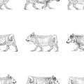 Seamless background of sketches of walking dogs