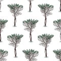 Seamless background of sketches young pine trees