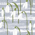 Seamless background with snowdrops. Royalty Free Stock Photo
