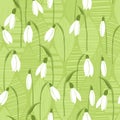 Seamless background with snowdrops. Royalty Free Stock Photo