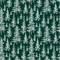 Vector pattern of fir forest Royalty Free Stock Photo