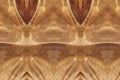 Seamless background of a stabilized wooden birch cap close-up. The workpiece for the manufacture of Handicrafts made