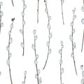 Seamless pattern with willow branches