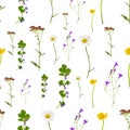 Summer meadow flowers seamless pattern