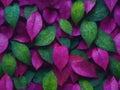 seamless background texture of colorful real leaves photography Royalty Free Stock Photo