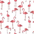 Seamless background, three pink flamingos on white. Raster Royalty Free Stock Photo