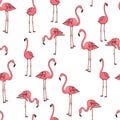 Seamless background, three pink flamingos on white. Vector Royalty Free Stock Photo