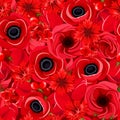 Seamless background with various red flowers. Vector illustration.