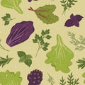 Seamless background with vegetables. Vector hand drawn illustration. Healthy food, greens, lettuce