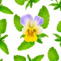 Seamless background with Viola tricolor. Isolated on white