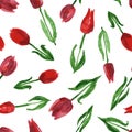 Seamless background from watercolor drawings of blooming red tulips Royalty Free Stock Photo