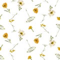 Seamless background of watercolor sketches various wildflowers