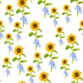 Seamless background with watercolor sunflowers. Collection decorative floral design elements