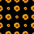 Seamless background with watercolor sunflowers. Collection decorative floral design elements