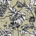 Seamless background of wine grapes engraving