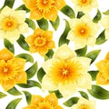 Seamless background with yellow daffodil narcissus. Spring flower with stem and leaves. Realistic pattern