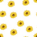 Seamless background: yellow flowers sunflowers on a white background. Flat vector.