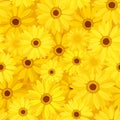 Seamless background with yellow gerbera flowers. Vector illustration. Royalty Free Stock Photo