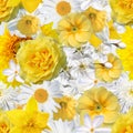 Seamless background with yellow and white flowers