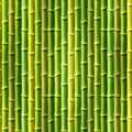 Seamless Bamboo Background.