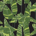 Seamless banana leaf pattern background. Simple green drawing line art illustration.