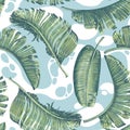 Seamless pattern with big leaves of banana palm.