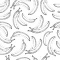 Seamless banana pattern. Fresh fruit sketch