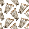 Seamless Beech Mushroom pattern. Watercolor background with botanical illustration of Buna shimeji, beech brown mushroom,