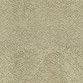 Seamless Beige Wall Decorative Plaster