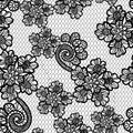 Seamless lace pattern Royalty Free Stock Photo