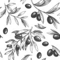 Seamless black olive pattern. Greek olives on branches with leaves, hand drawn sketch vector illustration