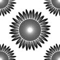 Seamless black sunflower pattern vector Royalty Free Stock Photo