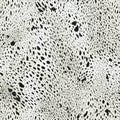 Seamless black and white animal print texture featuring a dense pattern of elongated irregular spots mimicking Dalmatian or Royalty Free Stock Photo