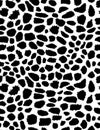 Seamless Black and White Coral Pattern.
