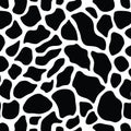 Seamless Black And White Cow Print Pattern Background Royalty Free Stock Photo